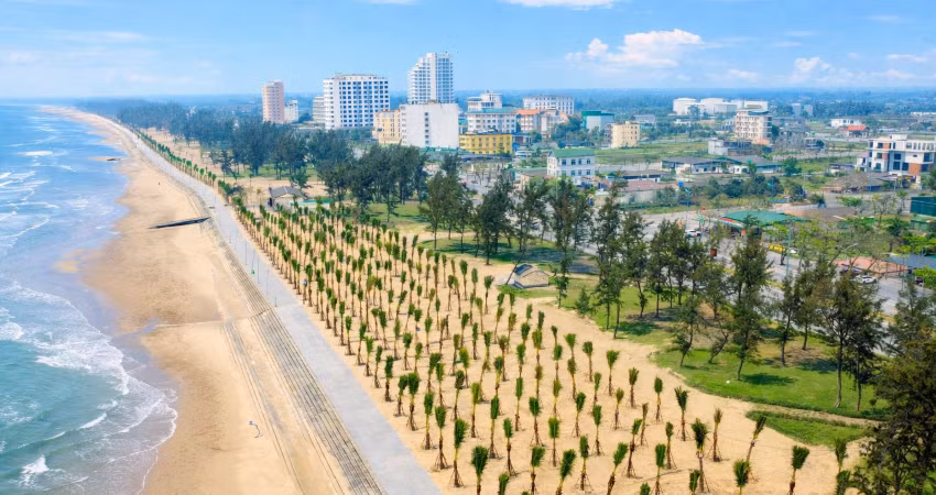 Hàng nghìn cây dừa được trồng dọc tuyến đường dạo bộ ven bãi biển, góp phần tạo cảnh quan xanh mát và chỉnh trang diện mạo đô thị biển.