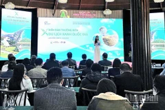 Quang cảnh Diễn đàn thường niên "Du lịch xanh quốc gia”.