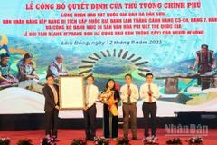 Lâm Đồng đón nhận Quyết định của Thủ tướng Chính phủ công nhận Bảo vật quốc gia Đàn đá Đắk Sơn.