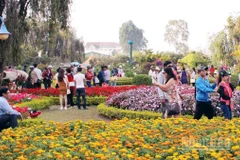 Du khách trải nghiệm vườn hoa trên địa bàn phường Lâm Viên, Đà Lạt.