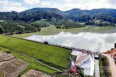 Khu vực xảy ra sạt trượt tại đập chính hồ thủy lợi Cay An đã được lực lượng chức năng xử lý đóng cừ tràm, gia cố đất và phủ bạt. 