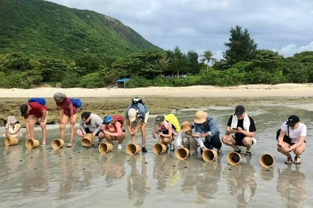 Du du lịch trải nghiệm thả Rùa con về biển tại Vườn Quốc gia Côn Đảo.