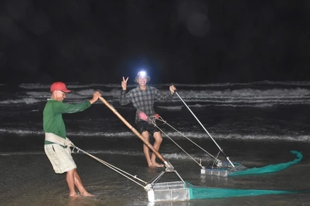 Người dân cào dắt trên biển trong đêm tối tại Bãi Sau, phường Vũng Tàu, Thành phố Hồ Chí Minh