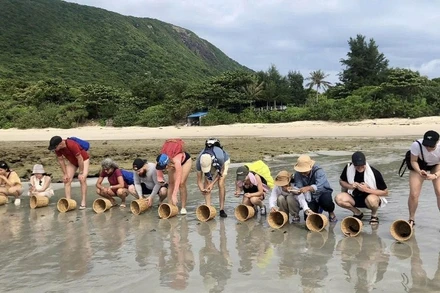 Du khách trải nghiệm thả Rùa về biển tại Vườn quốc gia Côn Đảo