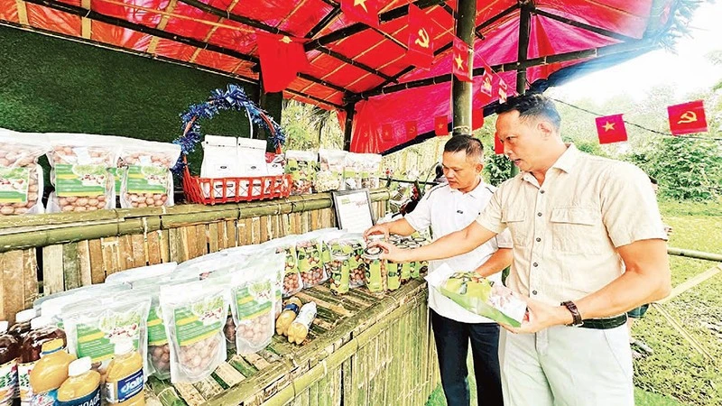 Xã Sa Loong đẩy mạnh liên kết chuỗi sản xuất nông sản vùng cao