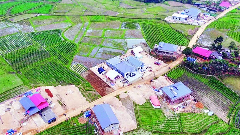 Làng Chút hồi sinh mạnh mẽ sau trận lũ lịch sử, đón Tết trong mái ấm mới
