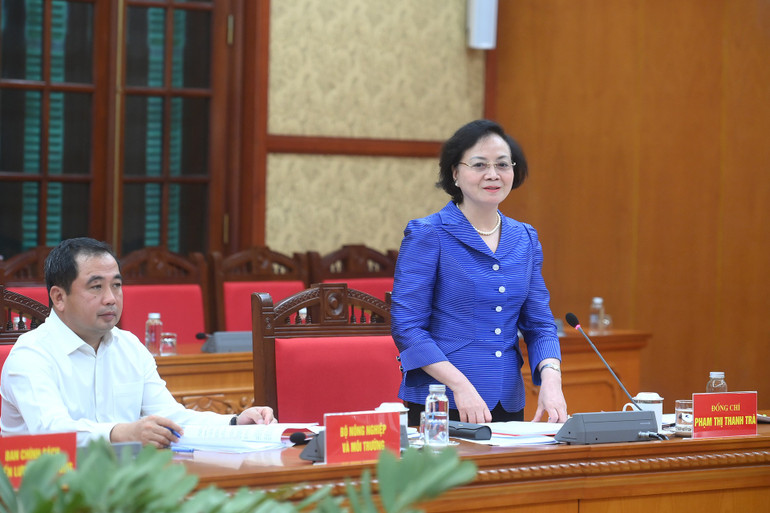 Đồng chí Phạm Thị Thanh Trà, Ủy viên Trung ương Đảng, Bộ trưởng Nội vụ, phát biểu tại buổi làm việc. (Ảnh: ĐĂNG KHOA) a4-bnd-1138.jpg