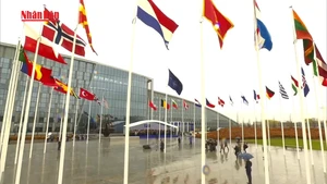 [Video] Bốn quốc gia NATO góp hơn 1 tỷ USD mua vũ khí Mỹ để hỗ trợ Ukraine