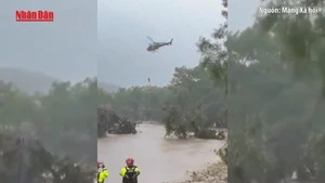 [Video] Số người thiệt mạng vì lũ lụt tăng cao, Tổng thống Mỹ ban bố tình trạng khẩn cấp tại Texas