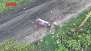 [Video] Lập trường của Nga và Ukraine trước đối thoại Putin – Trump