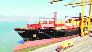 Cảng Hải Phòng phát triển xanh gắn với bảo vệ môi trường. (Ảnh LÊ DŨNG)