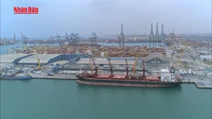 [Video] Mỹ áp thuế nhập khẩu với Hàn Quốc 15%, Ấn Độ 25%