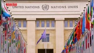 [Video] UNESCO đề nghị hỗ trợ bảo vệ di sản sau căng thẳng Campuchia - Thái Lan 