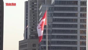 [Video] Thêm một nước thành viên NATO sắp công nhận nhà nước Palestine