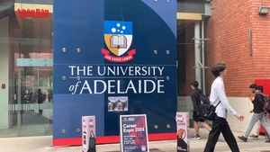 [Video] Australia mở rộng tiếp nhận du học sinh, ưu tiên khu vực Đông Nam Á 
