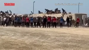 [Video] Quỹ Nhân đạo Gaza GHF của Mỹ tạm dừng phân phát viện trợ