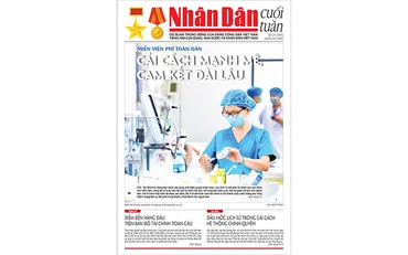 Cải cách mạnh mẽ, cam kết dài lâu