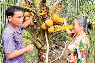 Gia đình bà Nguyễn Thị Ngọc Huệ được hỗ trợ vay vốn để phát triển kinh tế, vươn lên thoát nghèo.