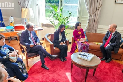 Phó Chủ tịch Quốc hội Nguyễn Thị Thanh hội đàm với Phó Chủ tịch Thượng viện Pháp Loic Hervé.