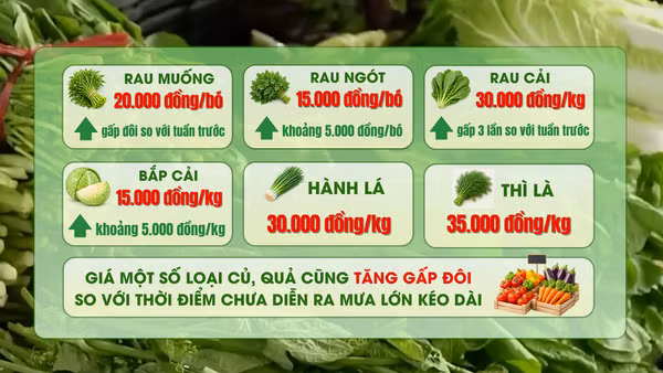 [Video] Giá nhiều loại rau xanh tại Hà Nội tăng mạnh sau mưa lớn kéo dài