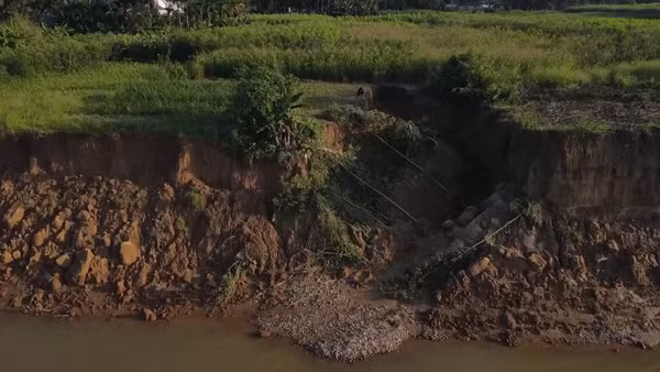 [Video] Sạt lở nghiêm trọng hơn 1.000m2 bờ sông Trà Khúc qua xã Trà Giang