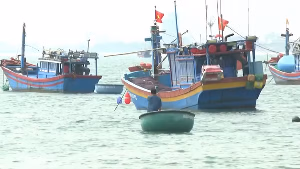[Video] 13 tỉnh ven biển ứng phó gió giật cấp 9, sóng cao 4m