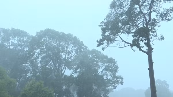 [Video] Biển Đông có thể đón bão số 5 trong dịp Quốc khánh, 7 tỉnh miền Bắc mưa lớn