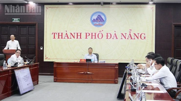 Hội nghị tập huấn tại thành phố Đà Nẵng.