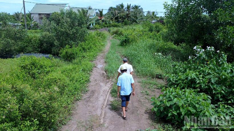 Dù đã hoàn thành xong nền đường đất 4m nhưng người dân tuyến kênh Chà Là (xã Đất Mới) chờ hoài chưa thấy đầu tư làm con lộ bê tông mới.