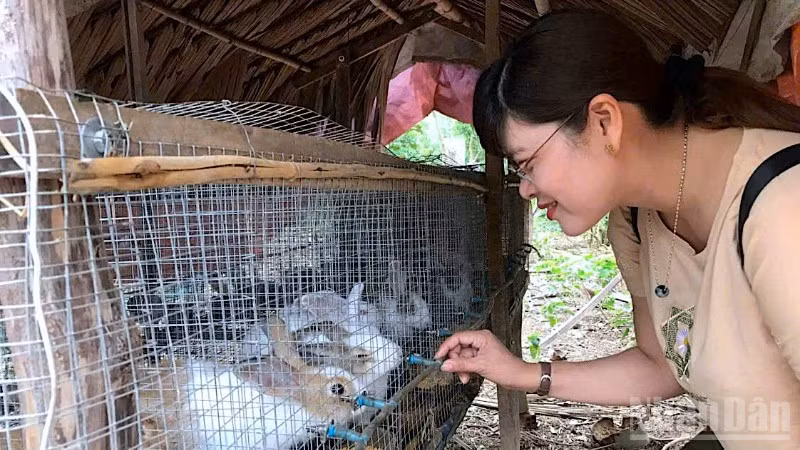 Thay vì cho "con cá", chiến lược mới của Cà Mau là "trao cần câu" để người dân có sinh kế thoát nghèo bền vững.