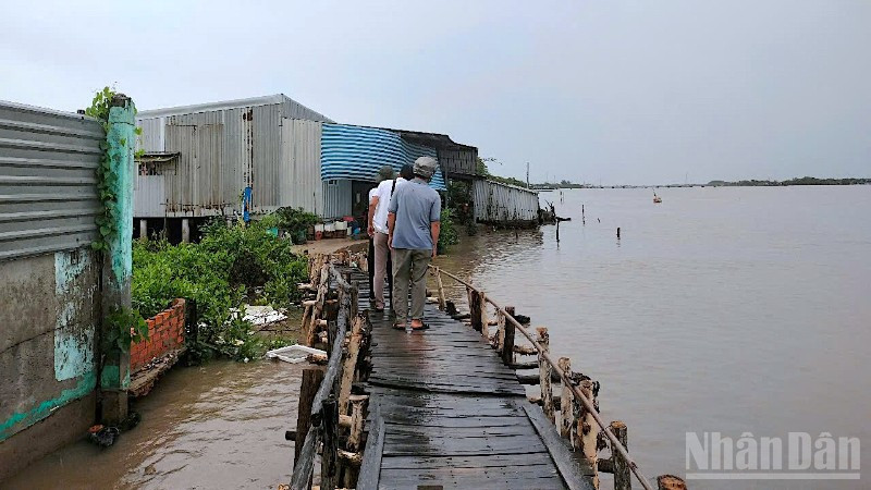 Người dân Khóm Sa Phô, xã Đất Mới, tỉnh Cà Mau thấp thỏm khi sống dọc tuyến sông Cửa Lớn, không biết nhà cửa sẽ bị sông nhấn chìm lúc nào. 