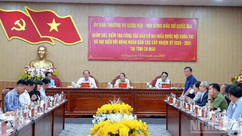 Quang cảnh buổi làm việc