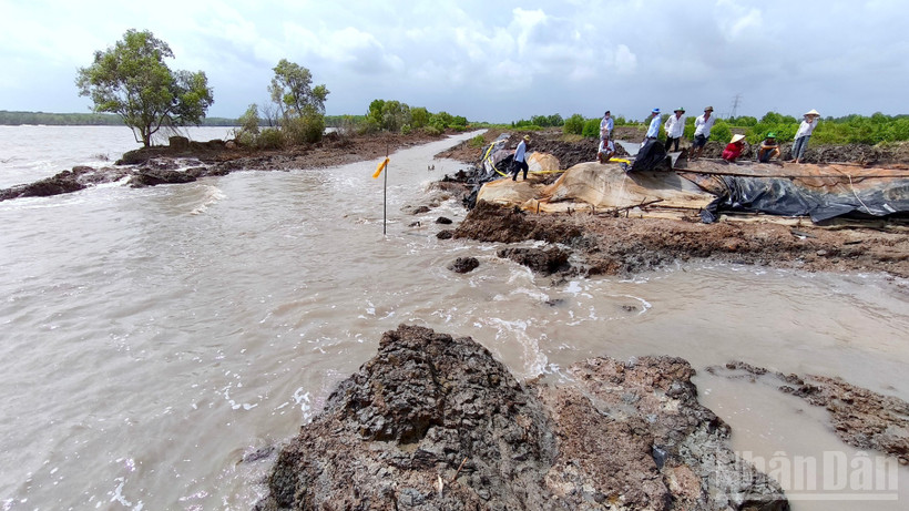 Hậu đất đất canh tác của người dân khu vực Trảng Tràm 1 bị sóng dữ gây sạt lở, làm thất thoát thủy sản trong vuông tôm.