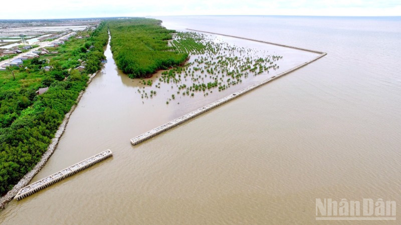 Gia cố “lá chắn xanh” cho mục tiêu tăng trưởng xanh vùng Đồng bằng sông Cửu Long Công trình kè ứng phó với sạt lở ven biển tây tỉnh Cà Mau kết hợp với phục hồi rừng phòng hộ ven biển.
