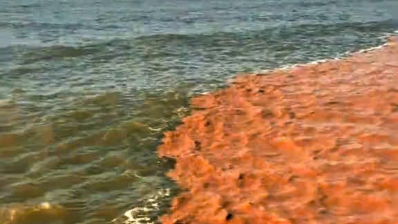 Ảnh vùng nước biển Tây Nam Cà Mau thêm màu lạ không phải đặc trưng của nước biển. (Ảnh cắt từ clip)