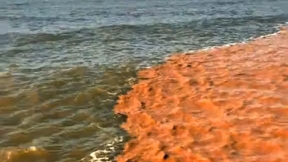 Ảnh vùng nước biển Tây Nam Cà Mau thêm màu lạ không phải đặc trưng của nước biển. (Ảnh cắt từ clip)