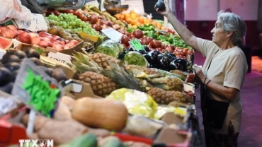 Người tiêu dùng mua sắm tại một chợ ở Madrid, Tây Ban Nha. (Ảnh: THX/TTXVN)