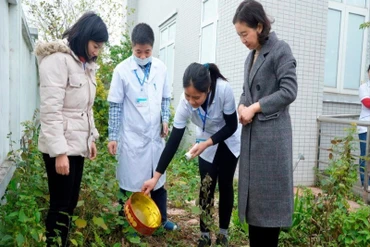 Cán bộ y tế hướng dẫn người dân trên địa bàn thành phố Hà Nội dọn dẹp vệ sinh, bảo vệ môi trường, phòng, chống sốt xuất huyết.