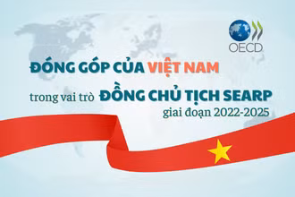 [Infographic] Đóng góp của Việt Nam trong vai trò Đồng Chủ tịch Chương trình Đông Nam Á giai đoạn 2022-2025