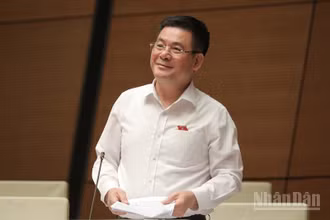 Bộ trưởng Công thương Nguyễn Hồng Diên phát biểu tại phiên họp. (Ảnh: DUY LINH)