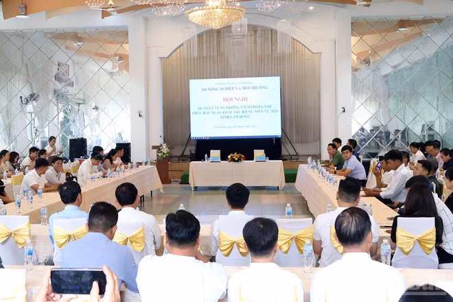 Quang cảnh hội nghị.