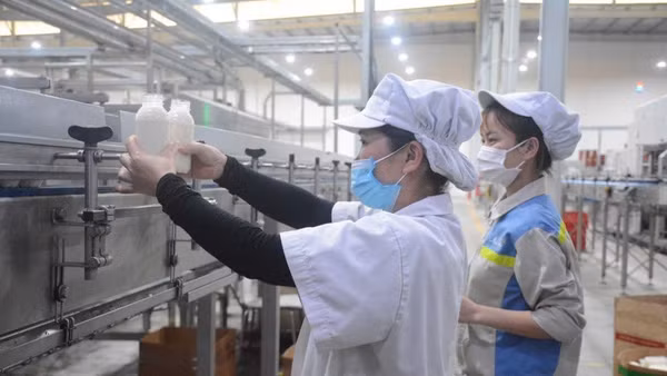 Chương trình được ban hành trên cơ sở cụ thể hóa các chủ trương của Đảng, trong đó có Nghị quyết số 57-NQ/TW và Nghị quyết số 71-NQ/TW. (Ảnh minh họa. Nguồn: TL)