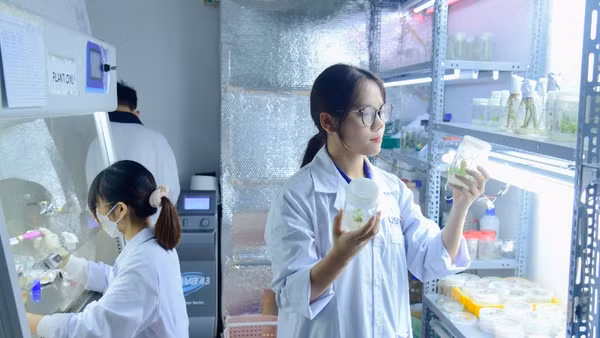 Nghiên cứu tại Trường đại học Khoa học và Công nghệ Hà Nội (USTH). (Ảnh minh họa: TL)