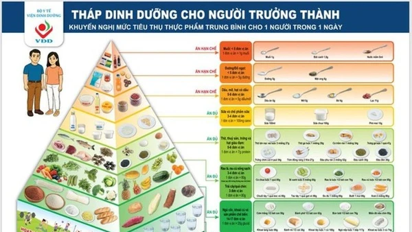 Tháp dinh dưỡng cho người trưởng thành do Viện Dinh dưỡng (Bộ Y tế) khuyến nghị. (Ảnh: Viện Dinh dưỡng)