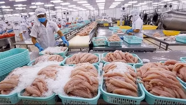 An toàn vệ sinh thực phẩm cần được quản lý hiệu quả hơn ngay từ nguyên liệu đầu vào. (Ảnh minh họa)