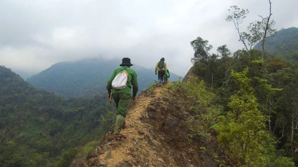 Tuần tra bảo vệ rừng ở Vườn Quốc gia Pù Mát.