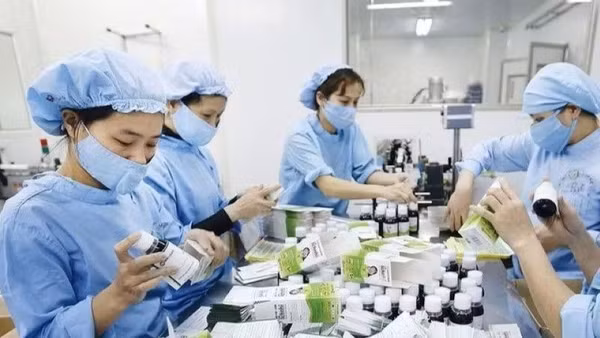 Các cơ sở sản xuất thực phẩm bảo vệ sức khỏe phải áp dụng Thực hành sản xuất tốt (GMP) thực phẩm bảo vệ sức khỏe theo hướng dẫn của Bộ Y tế. (Ảnh minh họa)