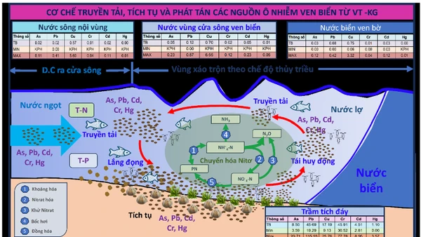 Sơ đồ cơ chế truyền tải, tích tụ và phát tán các nguồn ô nhiễm ven biển từ Vũng Tàu đến Kiên Giang. (Ảnh: TL)