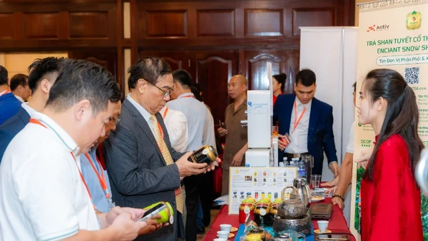 Liên kết "ba nhà" giúp quản lý, phát triển hoạt động thương mại điện tử minh bạch, trách nhiệm và bền vững hơn. (Ảnh minh họa. Nguồn: BÍCH LIÊN)