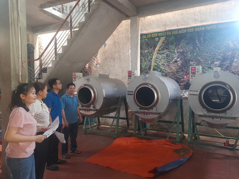 Hỗ trợ dây chuyền chế biến chè cho các hợp tác xã sản xuất, chế biến chè Shan tuyết. a6.jpg